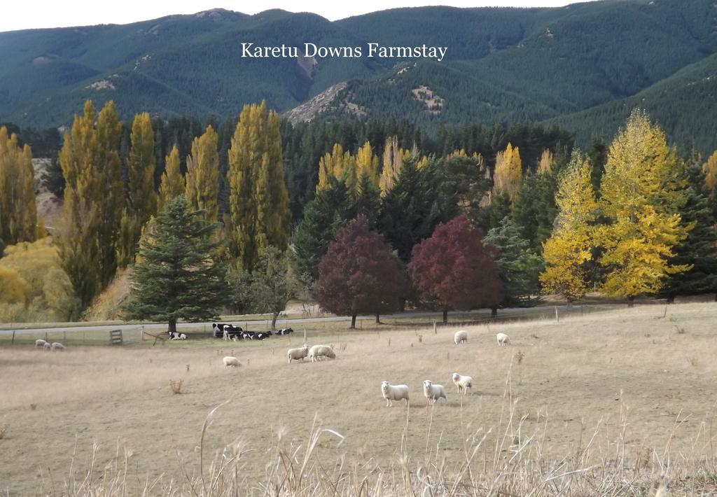Karetu Downs Farm Stay Hawarden Exterior foto